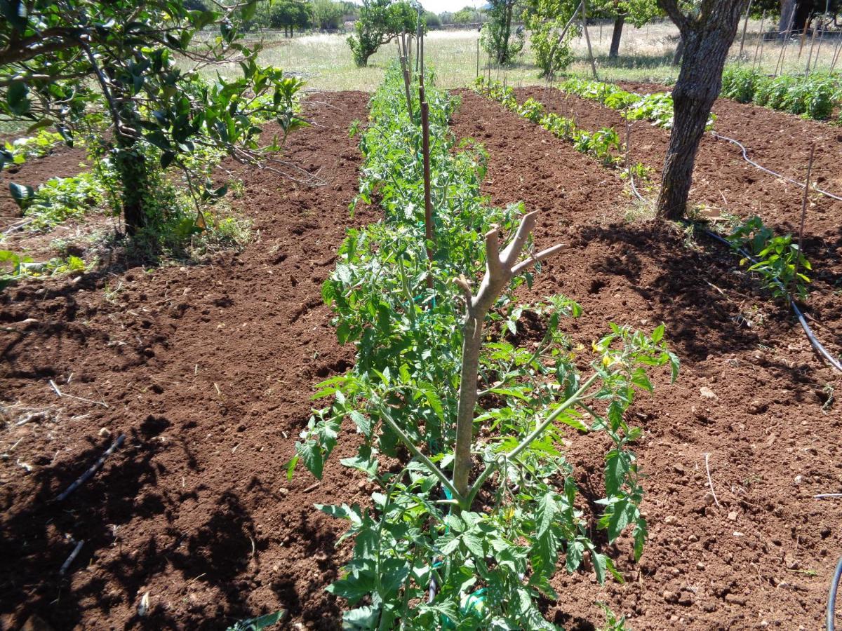 Agroturismo Na Set Centes - Adults Only Arta Exterior photo