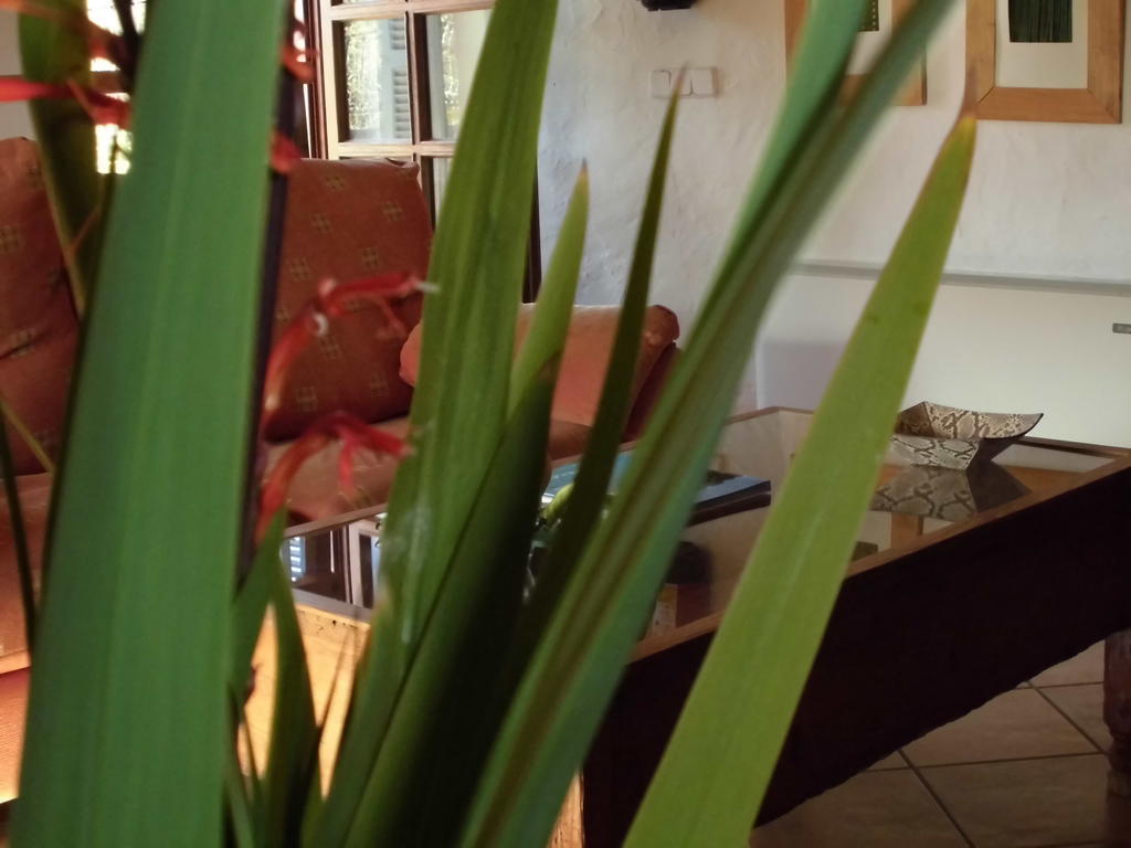 Agroturismo Na Set Centes - Adults Only Arta Room photo