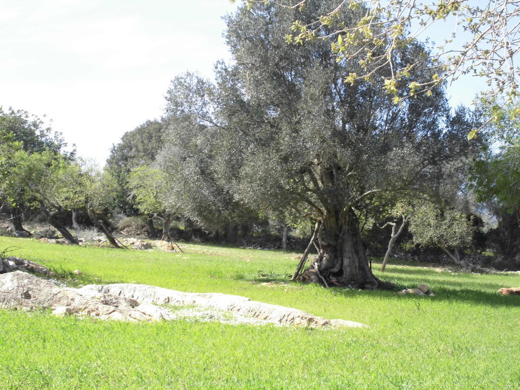Agroturismo Na Set Centes - Adults Only Hotel Arta Exterior photo