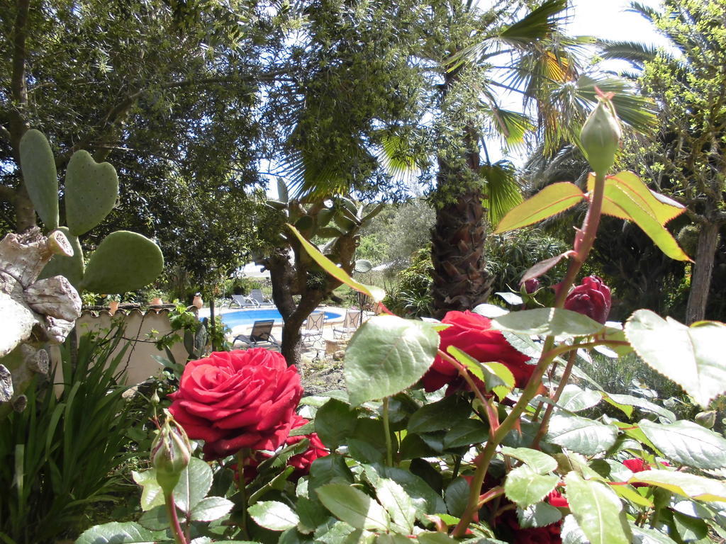 Agroturismo Na Set Centes - Adults Only Arta Exterior photo